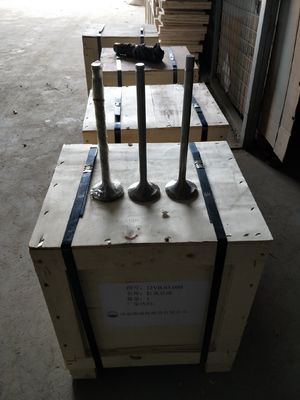 커스터마이징 118KG W12V190.03.01 500kw 천연 가스 발전기 Shengdong에 대한 흡입 밸브