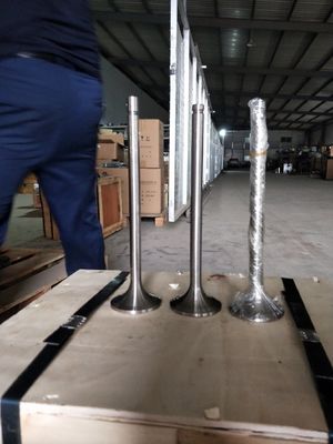 커스터마이징 118KG W12V190.03.01 500kw 천연 가스 발전기 Shengdong에 대한 흡입 밸브