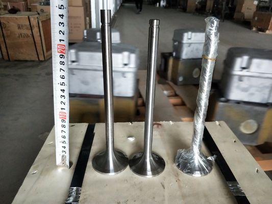 커스터마이징 118KG W12V190.03.01 500kw 천연 가스 발전기 Shengdong에 대한 흡입 밸브