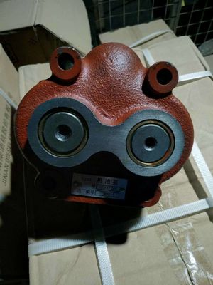 지차이 500kw 가스 발전기 부품 G12V190zldt 말레이시아 시장 성장 잠재력