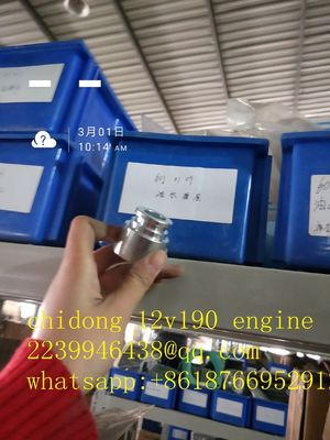 Co1300f-3/25 모델 Bl12V190 Zl-3 ISO9001 인증을 가진 Jinan 디젤 엔진 부품