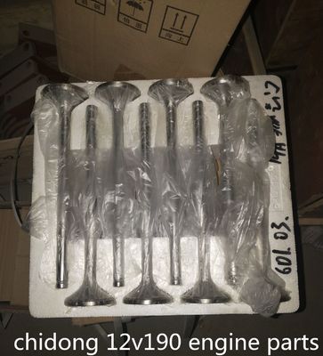 B6190zlc-1 모래 펌프 배 엔진 부품 100kg 성능의 표준 부품