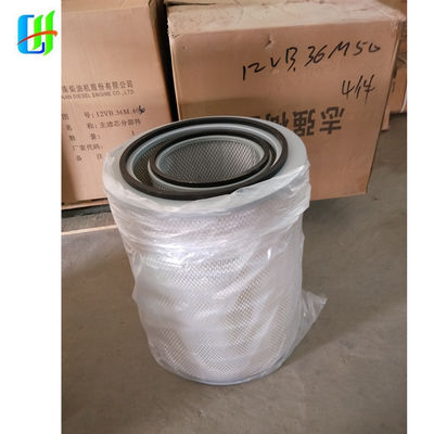 니제르 시장에 1000kw 디젤 발전기 당신의 필요에 맞게 조정