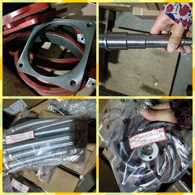 성능 밀기 Co1200/20 A12V190pzl CE 인증을 가진 진안 디젤 엔진 부품