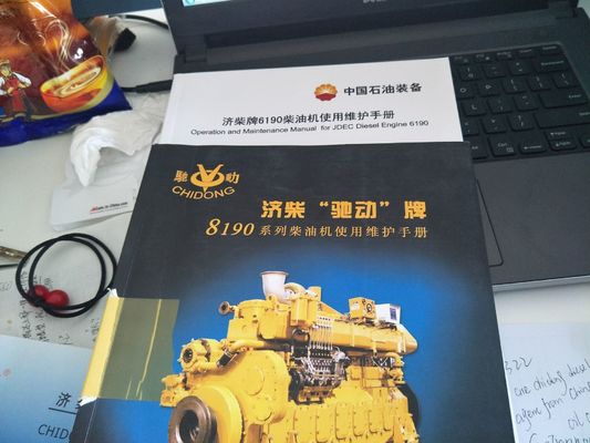 천연가스 1000kw Jichai Jinan 가스 소스 CE 인증을위한 발전기 부품