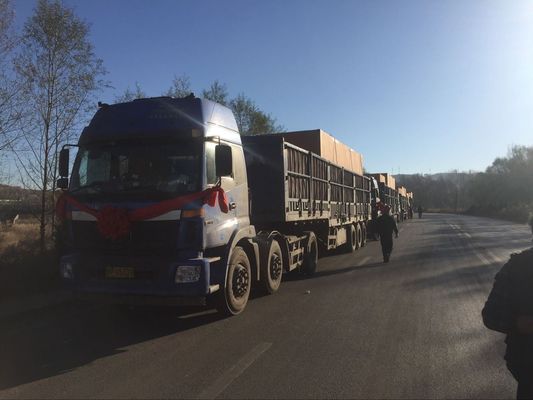 커스터마이징 Co1300f-3/25 굴착 엔진 변환 장치 Bl12V190-3 Yotfj875-25 플래시