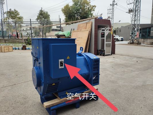AC 회전 흥분 50kw Yuchai 가스 발전기 가정용 및 색상 선택