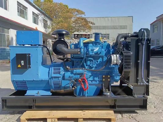 AC 회전 흥분 50kw Yuchai 가스 발전기 가정용 및 색상 선택