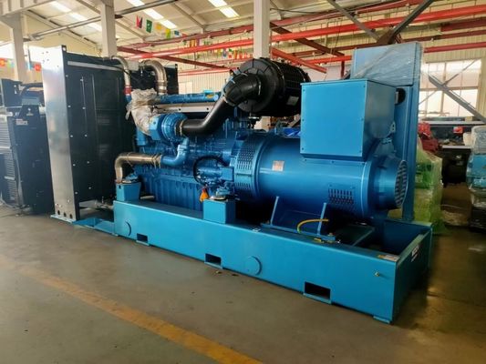 AC 회전 흥분 50kw Yuchai 가스 발전기 가정용 및 색상 선택