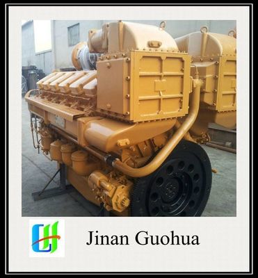 12V190 바이오가스 발전기 사용자 정의 사용자 정의 요청 500kw 바이오가스 발전기