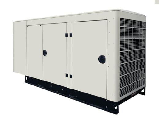 농장 도살소용 60kVA 바이오가스 발전기 1500 / 1800 Rmp